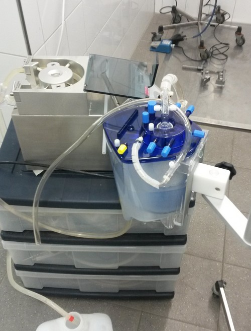 Kryonik Biostase Biostasis