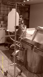 Kryonik Biostase Biostasis