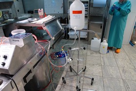 Kryonik Biostase Biostasis