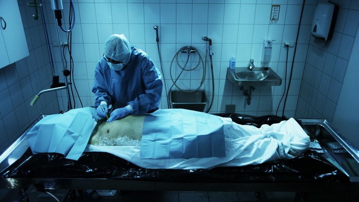 kryonik biostasis biostase